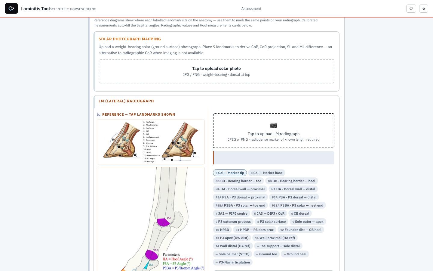The assessment screen of the laminitis tool, showing reference anatomy diagrams beside the landmark list a farrier works through