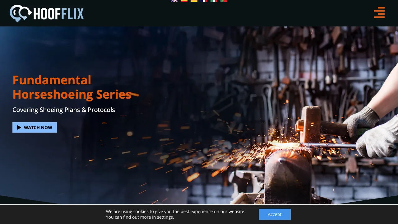 Hoofflix equestrian video streaming platform with course library and user dashboard